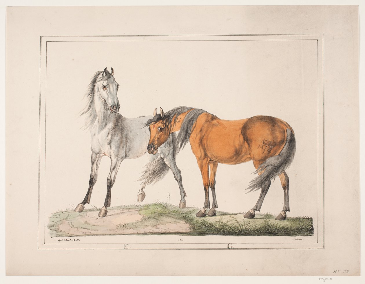 Los caballos E & G de Christian David Gebauer