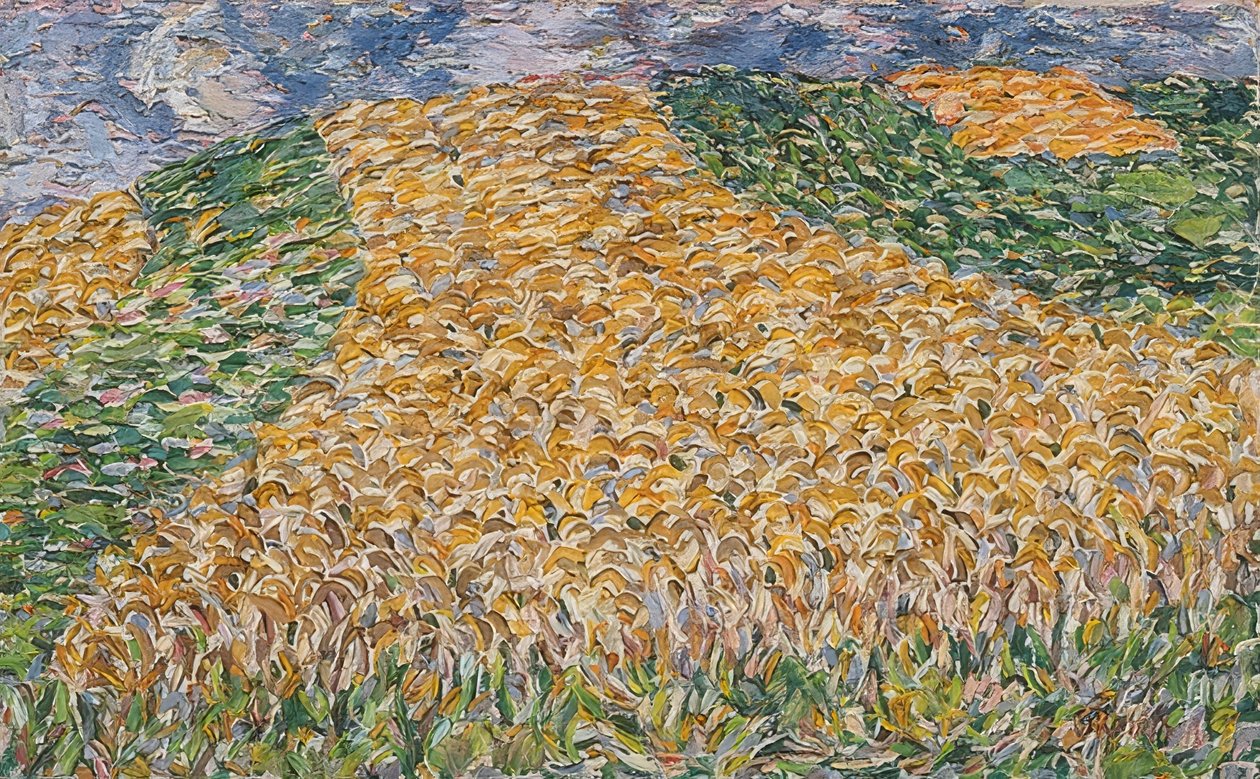 Campo de maíz de Christian Rohlfs