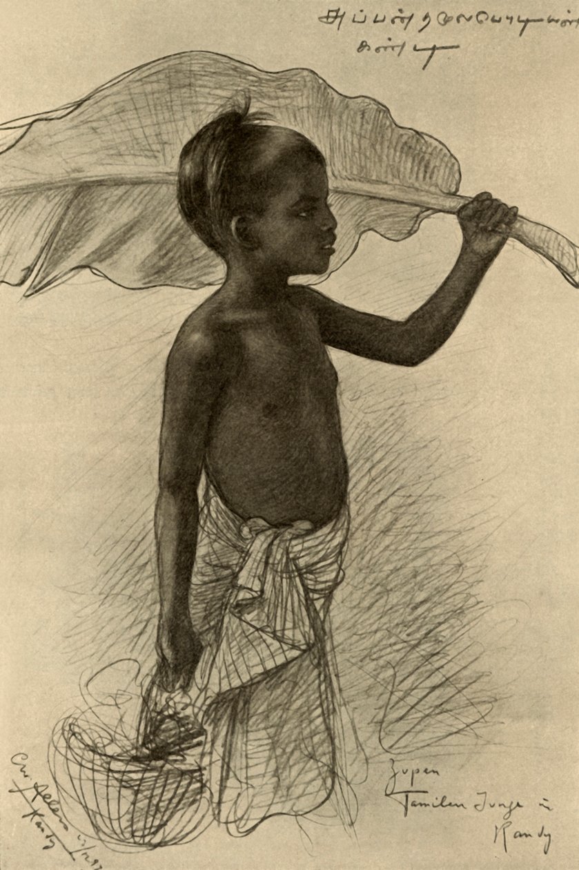 Niño tamil, Kandy, Ceilán, 1898 de Christian Wilhelm Allers