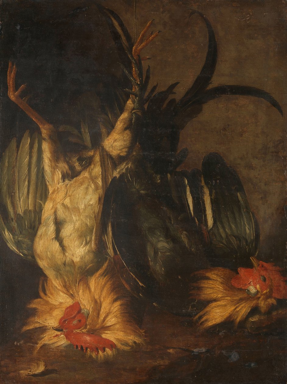 Gallos muertos de Christoffel Puytlinck