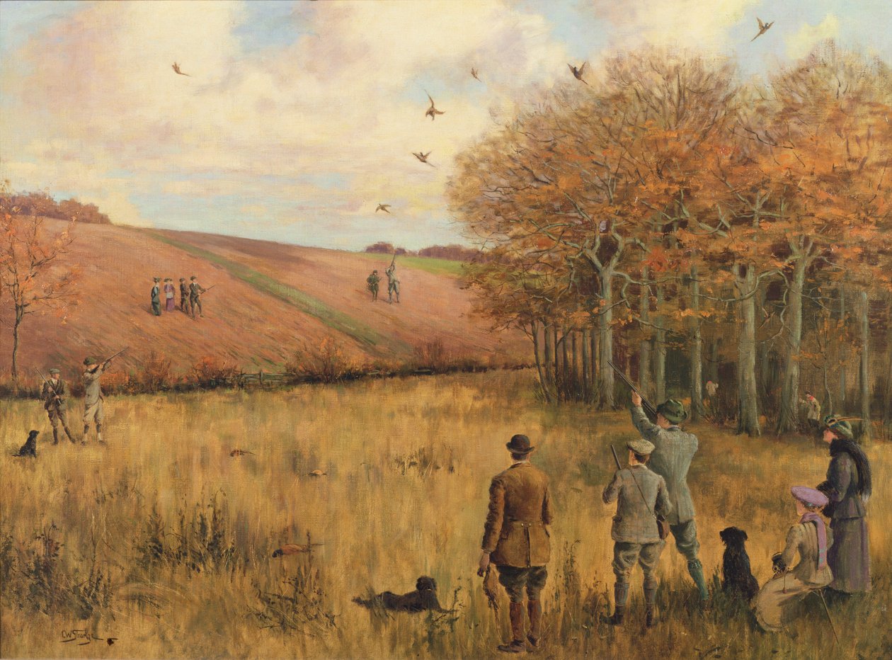 Caza de faisanes de Christopher William Strange