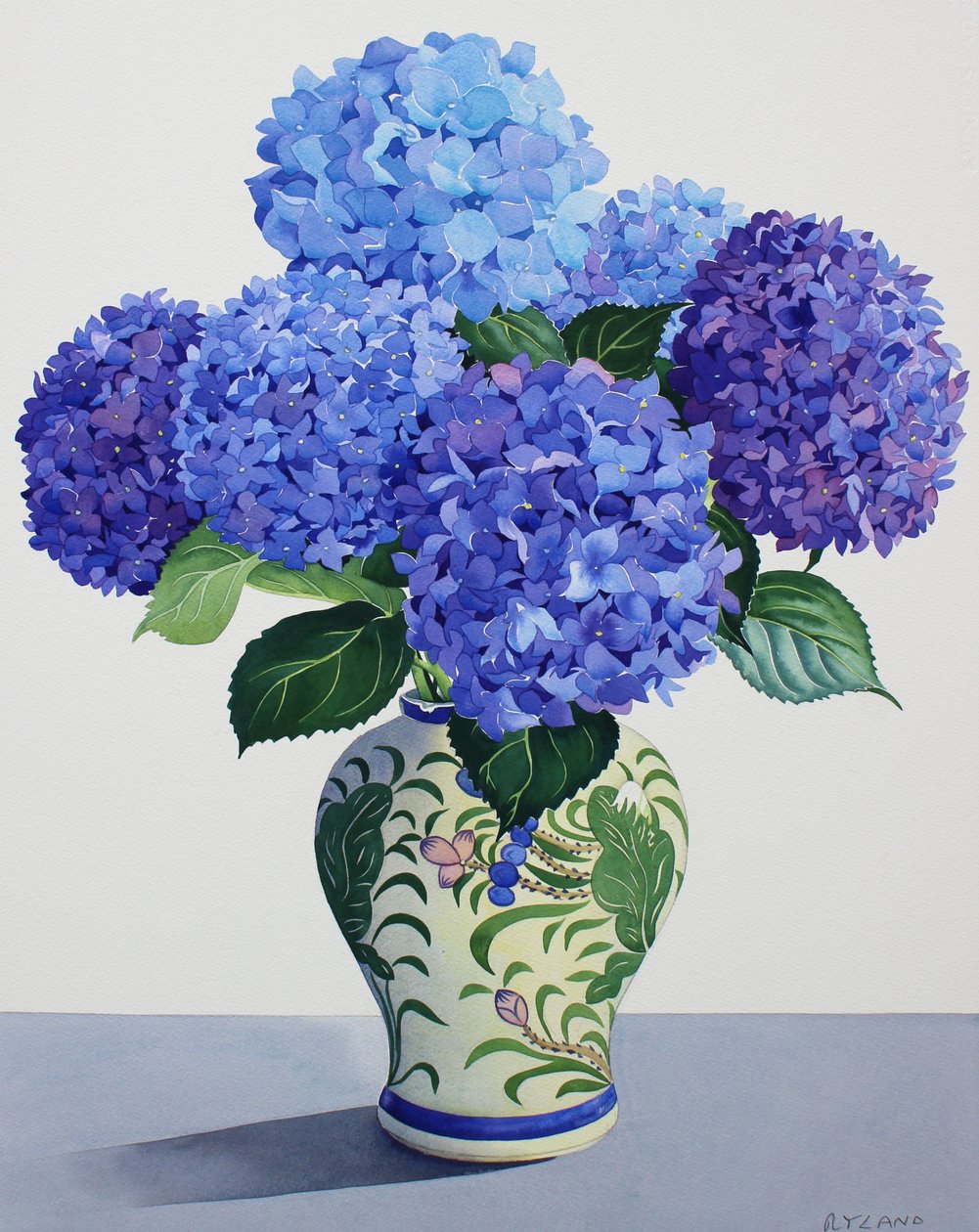 Hortensias azules de Christopher Ryland