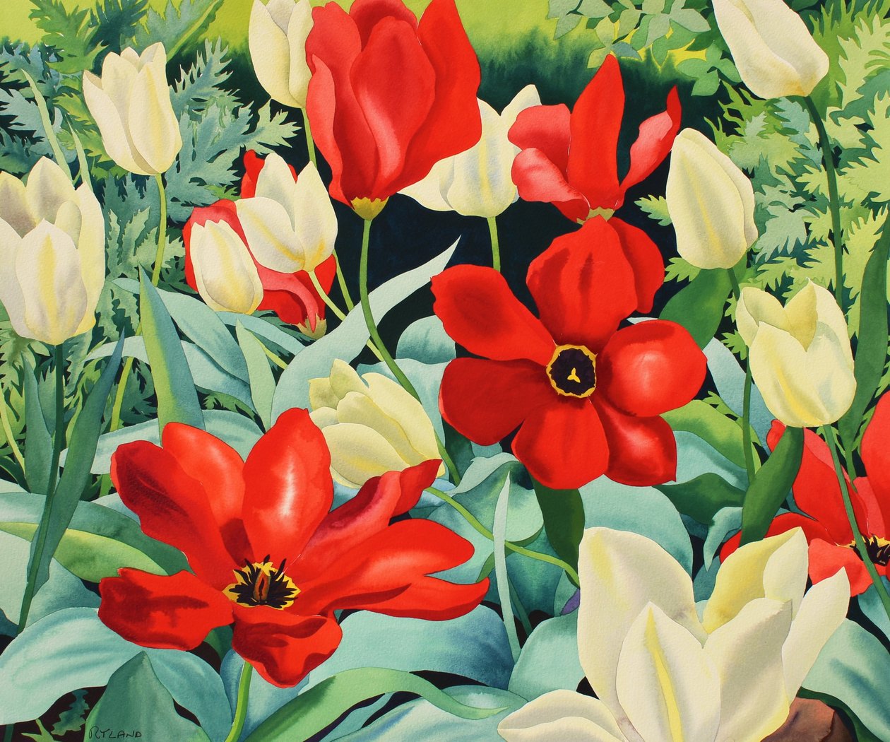 Tulipanes tempranos de Christopher Ryland