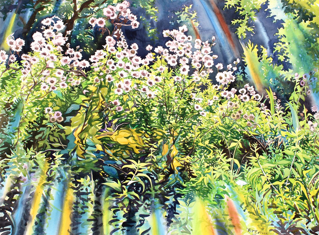 Thistledown, 2016 (acuarela sobre papel) de Christopher Ryland