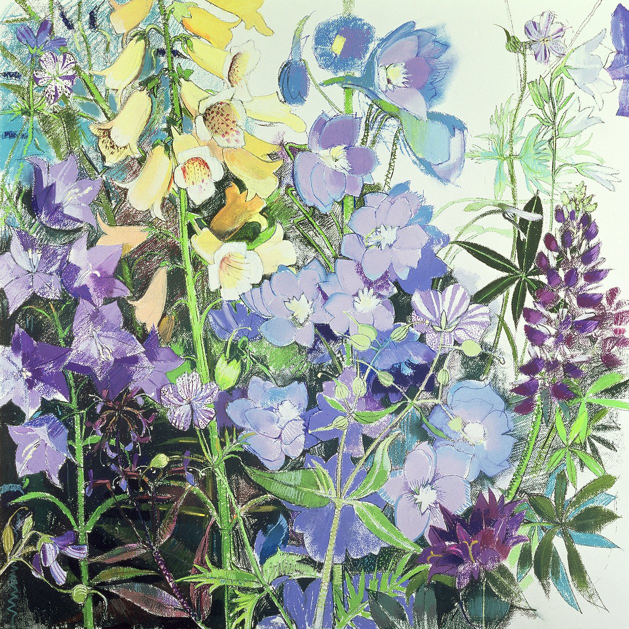 Delphiniums y Dedaleras de Claire Spencer