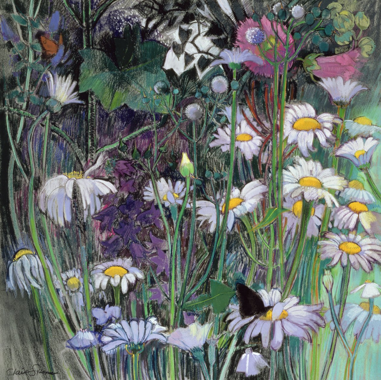 El Jardín Blanco de Claire Spencer