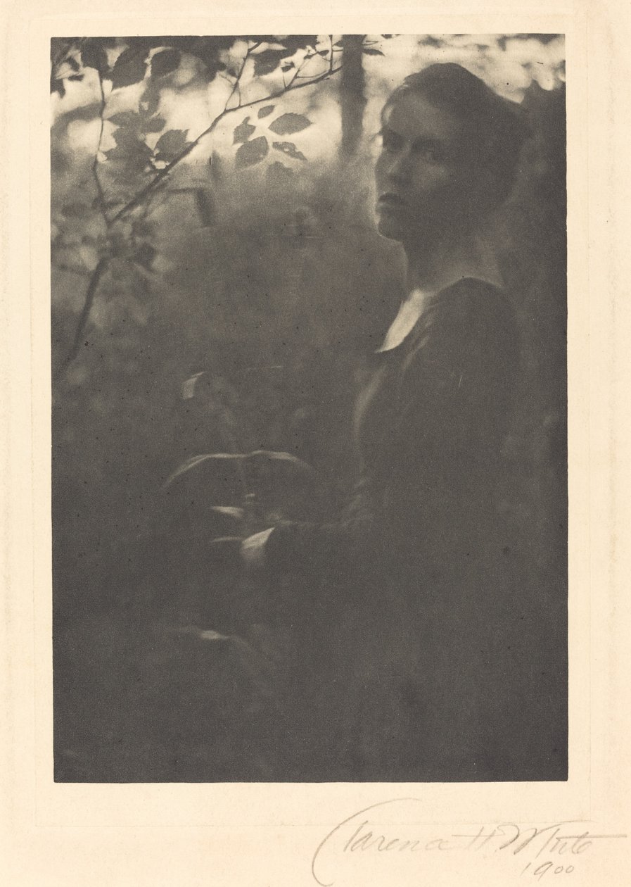 Borde del bosque, atardecer de Clarence H. White