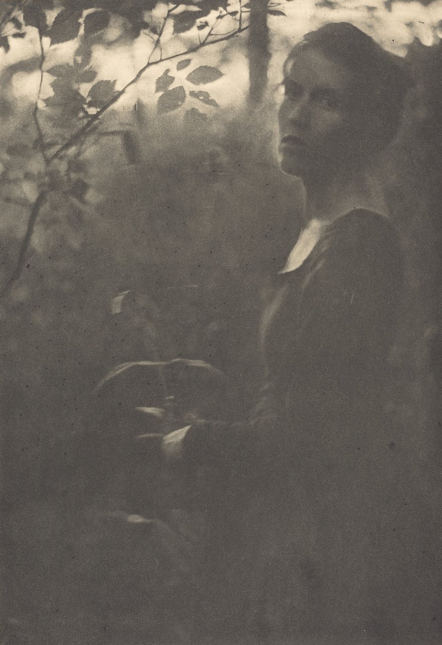 Borde del bosque, tarde, 1900 de Clarence H White