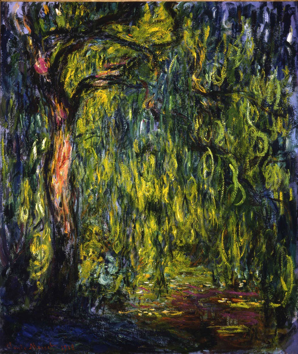 Sauce llorón de Claude Monet