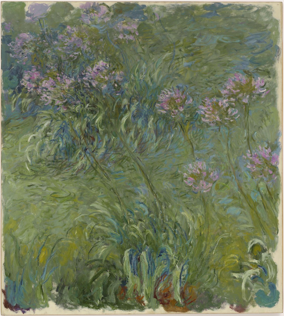 Agapantos de Claude Monet