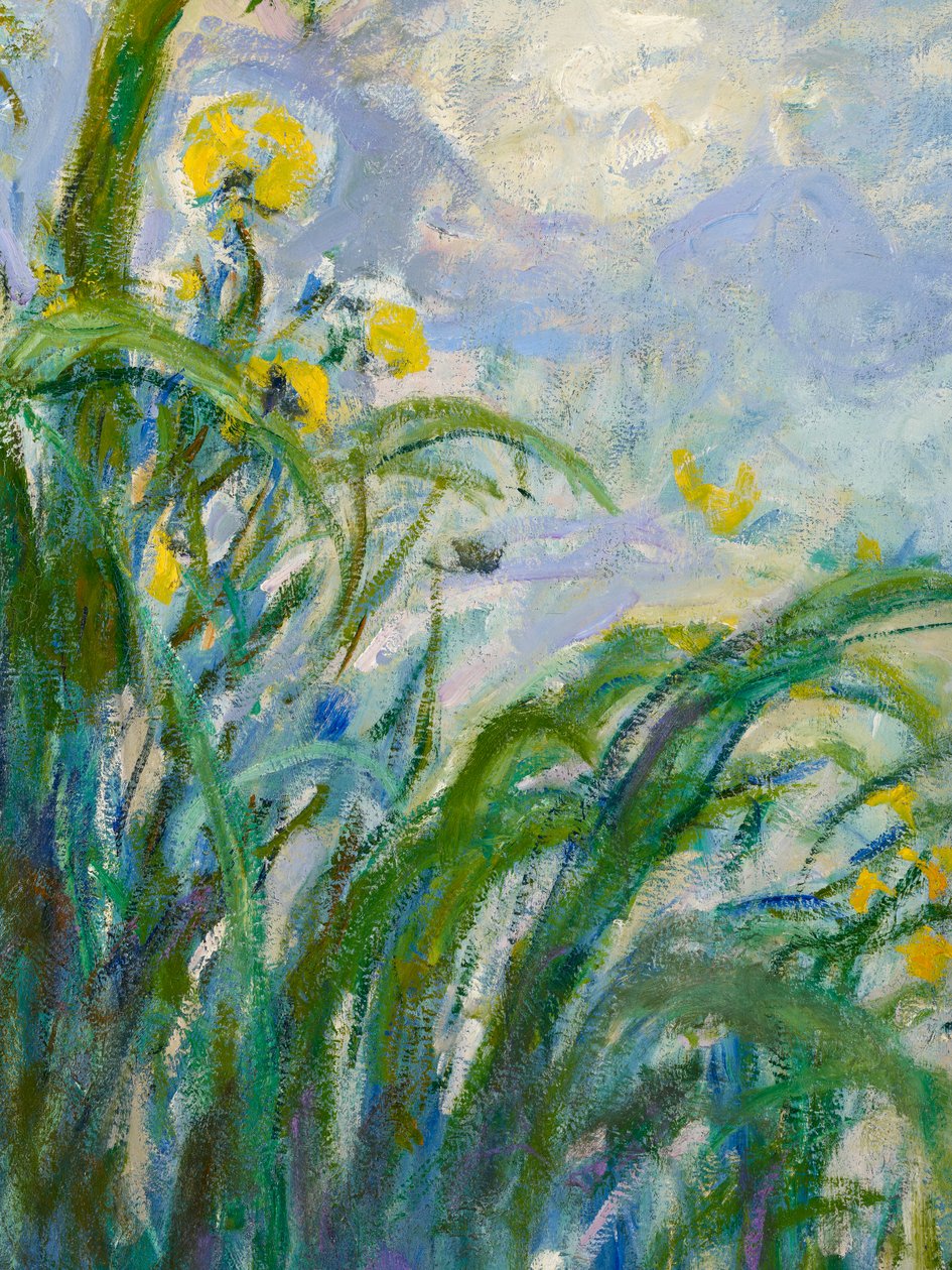 El Iris Amarillo (detalle) de Claude Monet