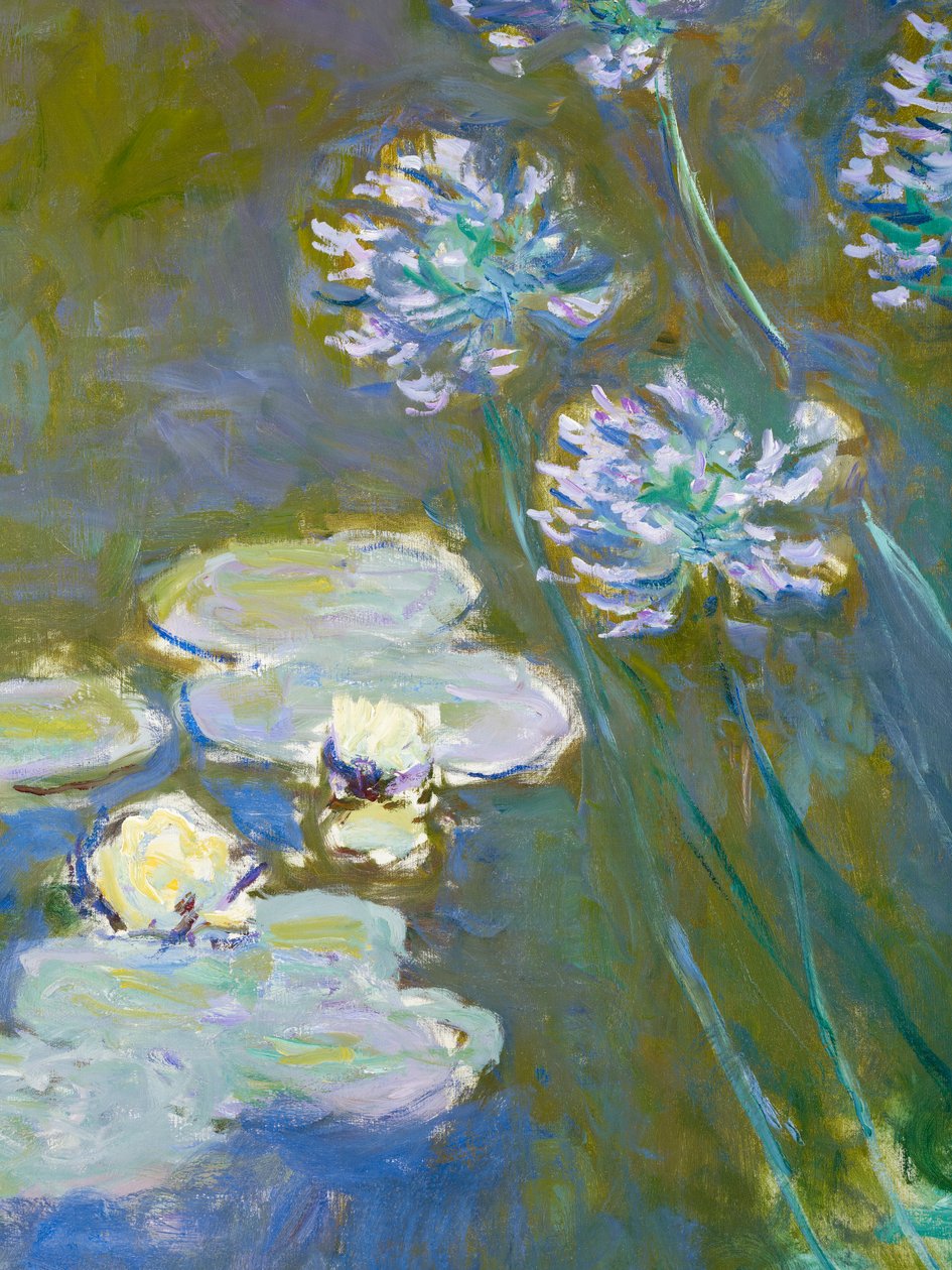 Nenúfares y Agapantos, 1914-17 (detalle) de Claude Monet