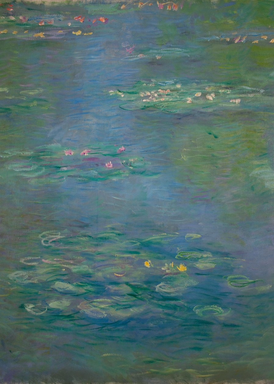 Nenúfares, detalle, 1903 de Claude Monet