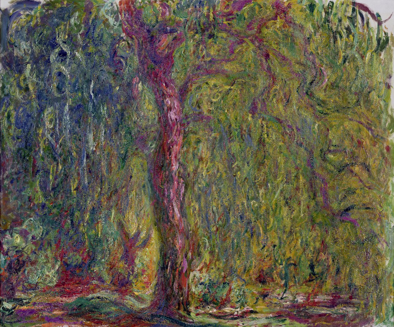 Sauce Llorón, 1918-19 de Claude Monet