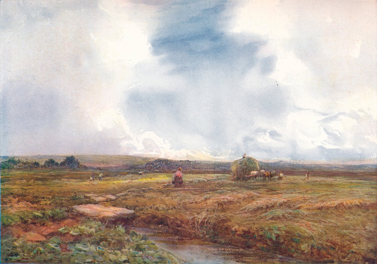 El Campo de Heno, 1872-1906, 1906 de Claude Hayes