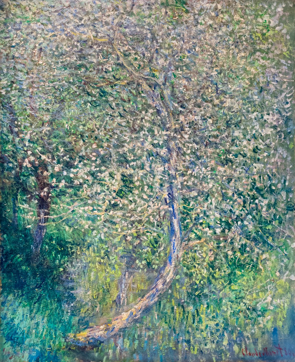 Manzanos en flor a orillas del agua de Claude Monet