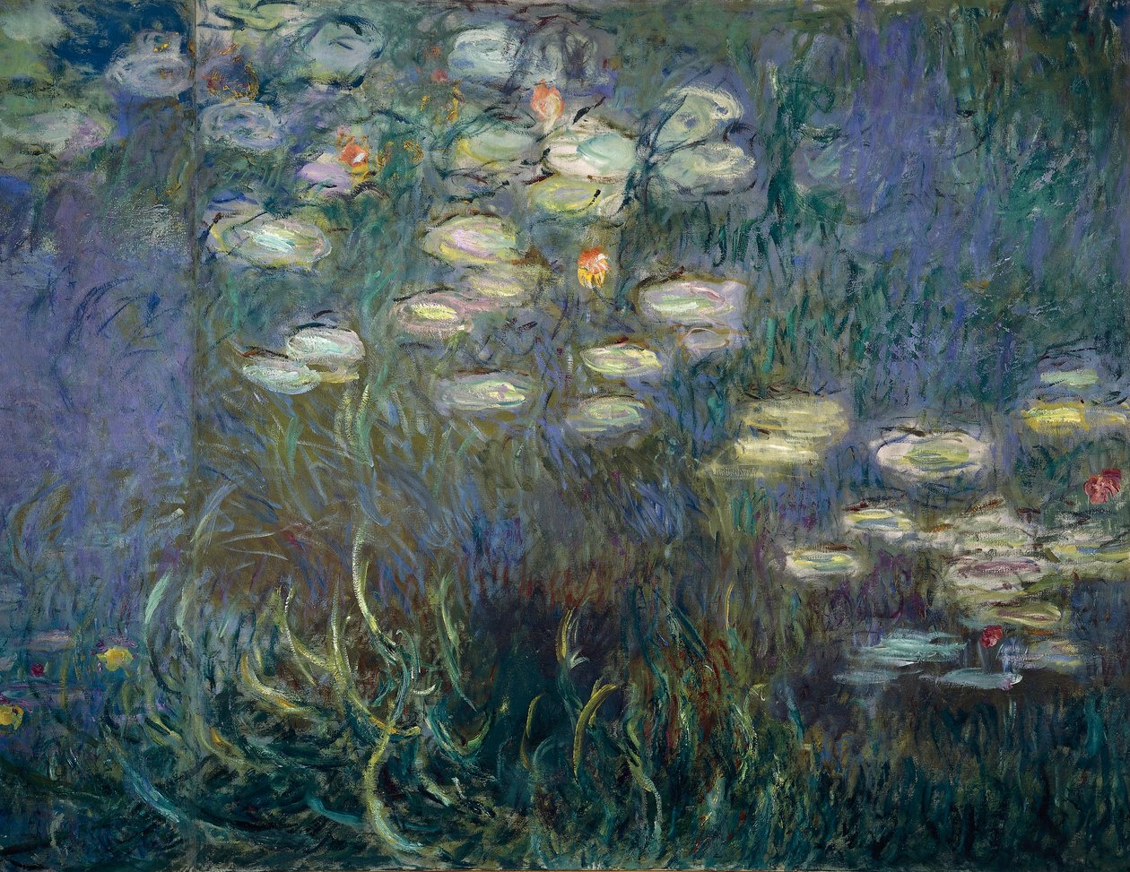 Nenúfares (detalle) (óleo sobre lienzo) de Claude Monet