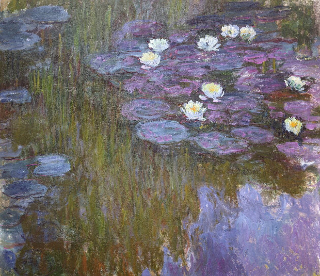 Nenúfares de Claude Monet