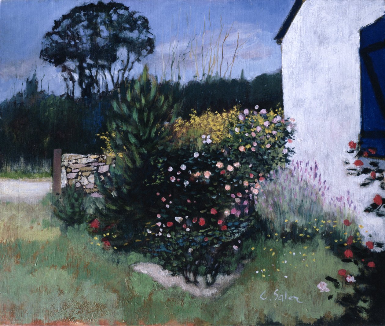 El rosal de Claude Salez