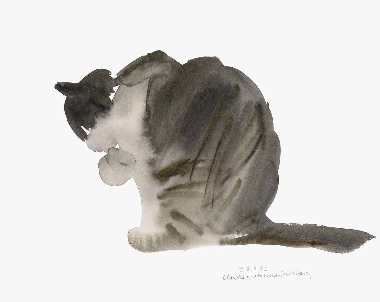 Gato, 1985 de Claudia Hutchins Puechavy