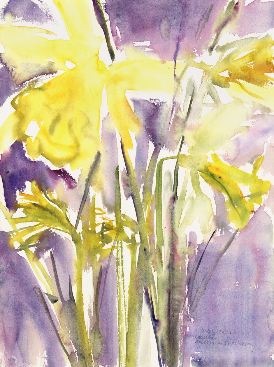 Narcisos, 2004 de Claudia Hutchins Puechavy