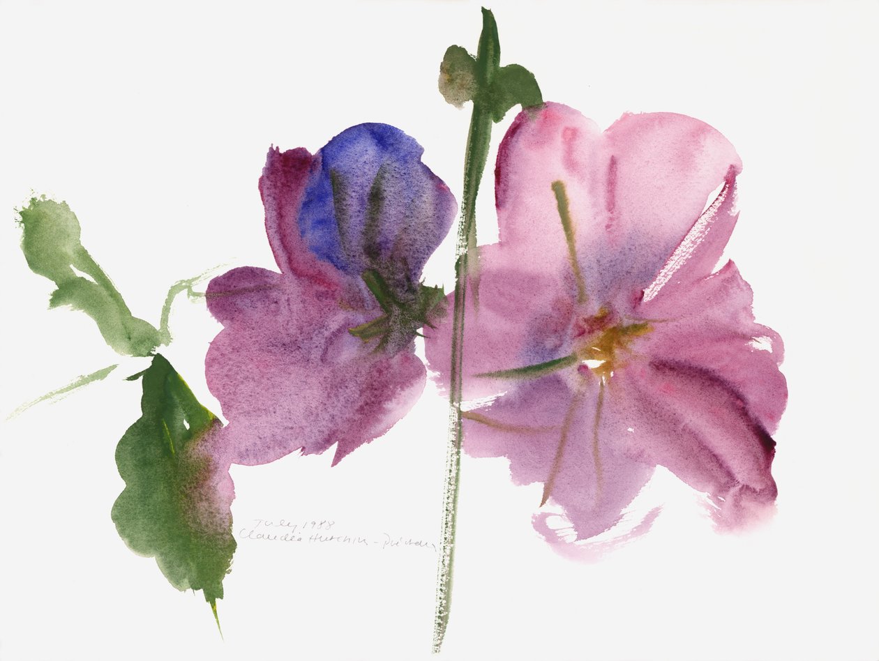 Malvarrosas, 1988 de Claudia Hutchins Puechavy