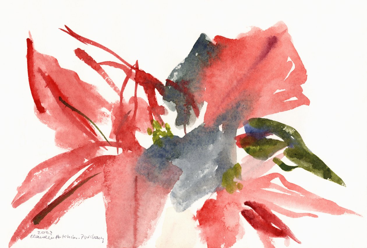 Poinsettia, 2003 de Claudia Hutchins Puechavy
