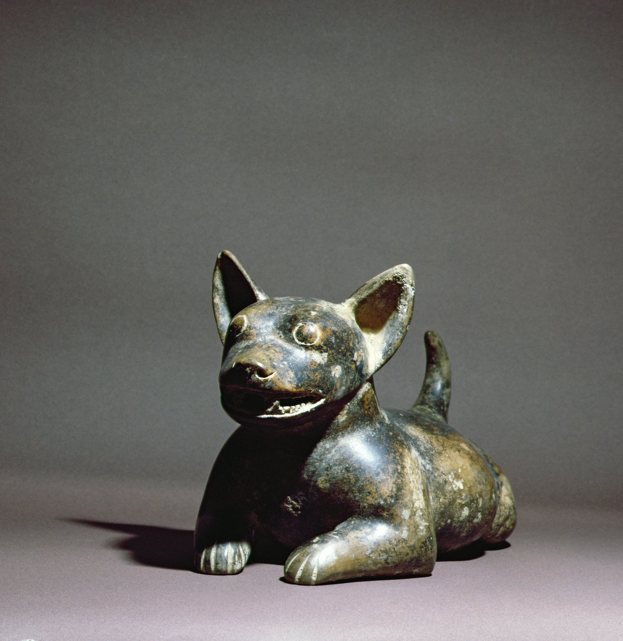 Perro medio acostado de Colima, 300 a.C. - 500 d.C. de Colima Culture