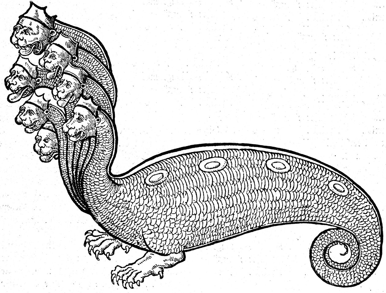 Hidra monstruosa de Conrad (after) Gesner