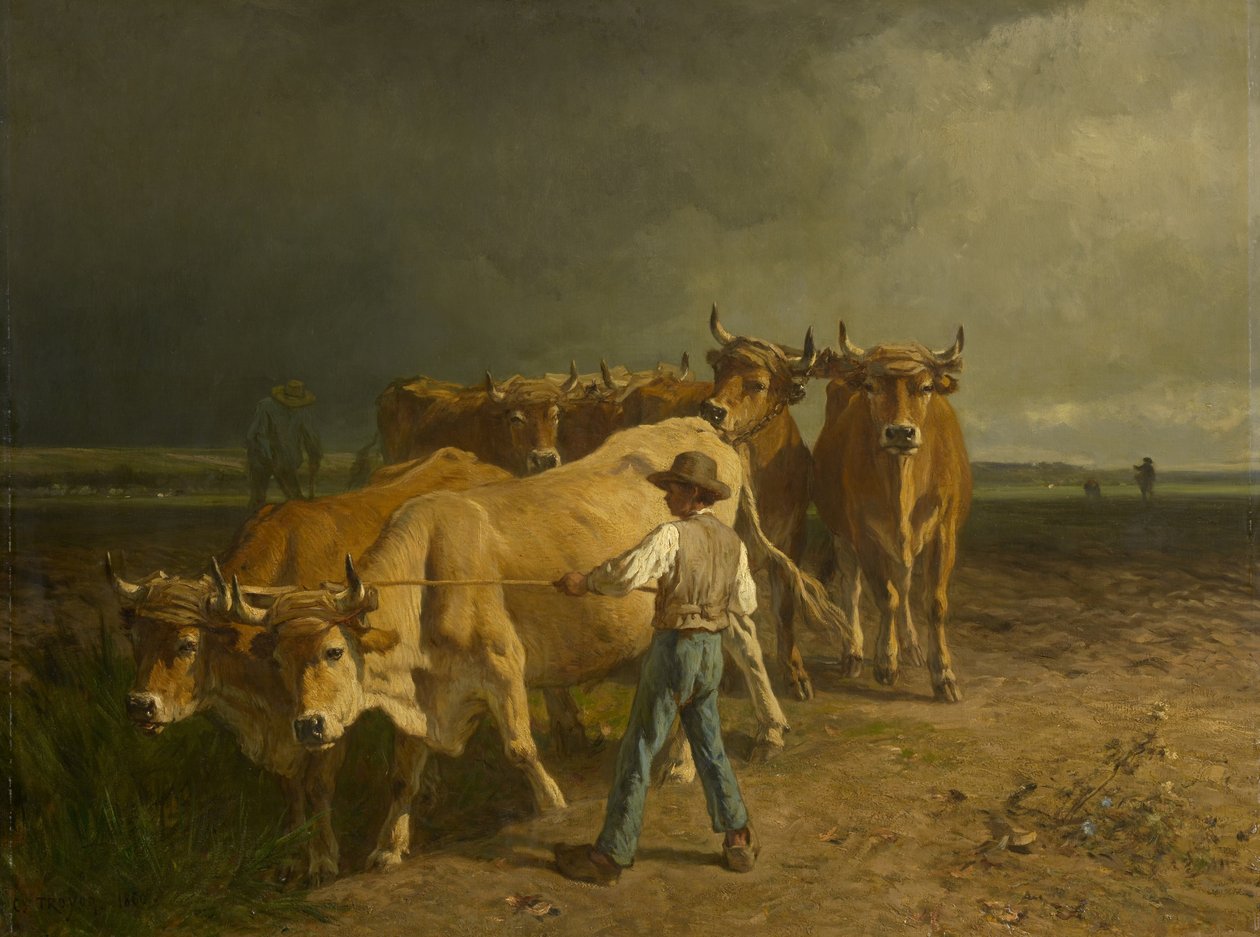 Bueyes arando, 1860 de Constant Emile Troyon