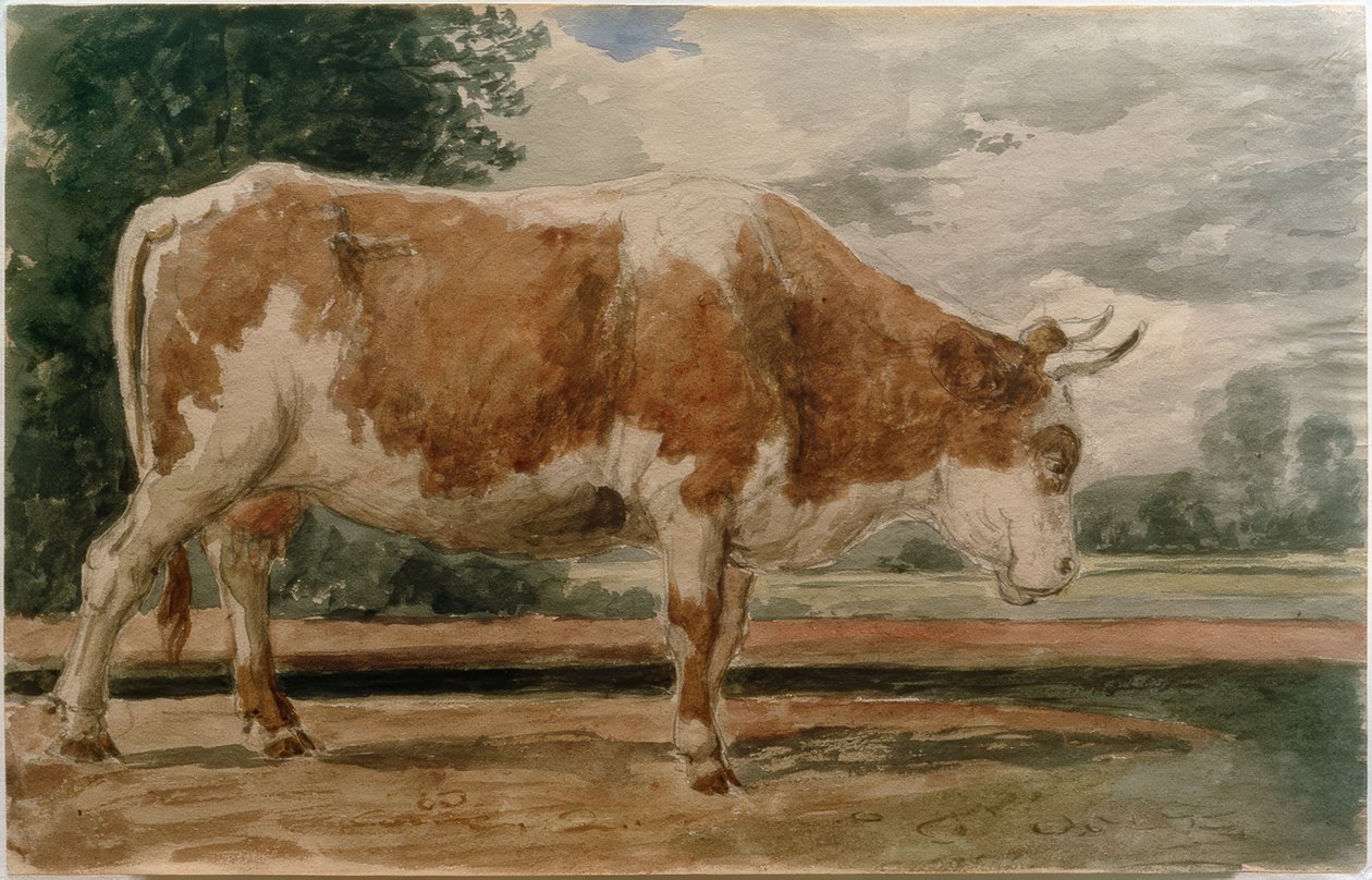 Vaca de perfil de Constant Troyon