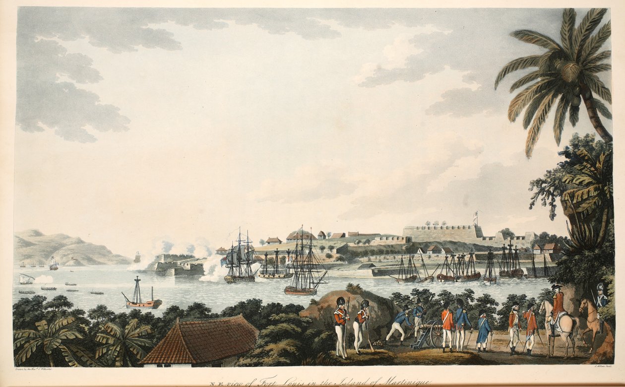 Vista N.E. del Fuerte Louis en la Isla de Martinica, ilustración de 