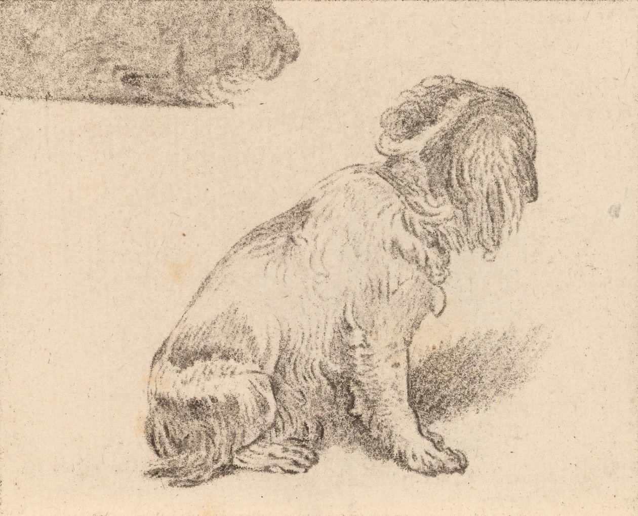 Perro sentado de Cornelis Brouwer
