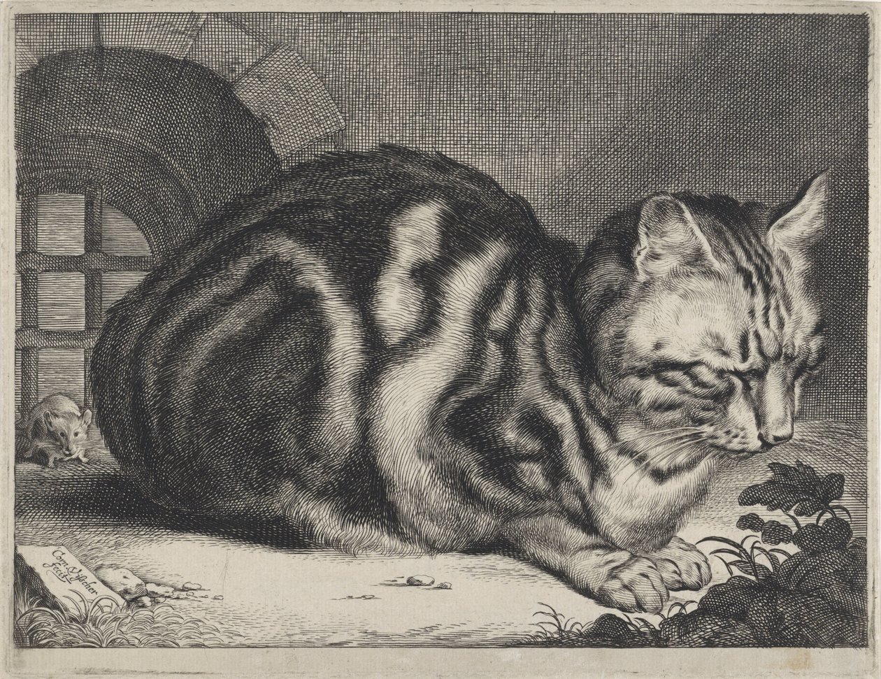 el gato grande de Cornelis Visscher (II)