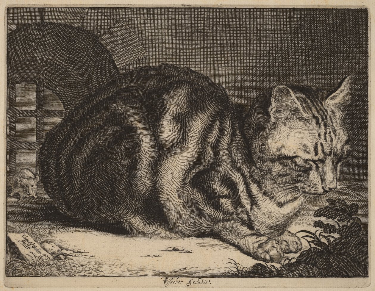 El gran gato de Cornelis Visscher