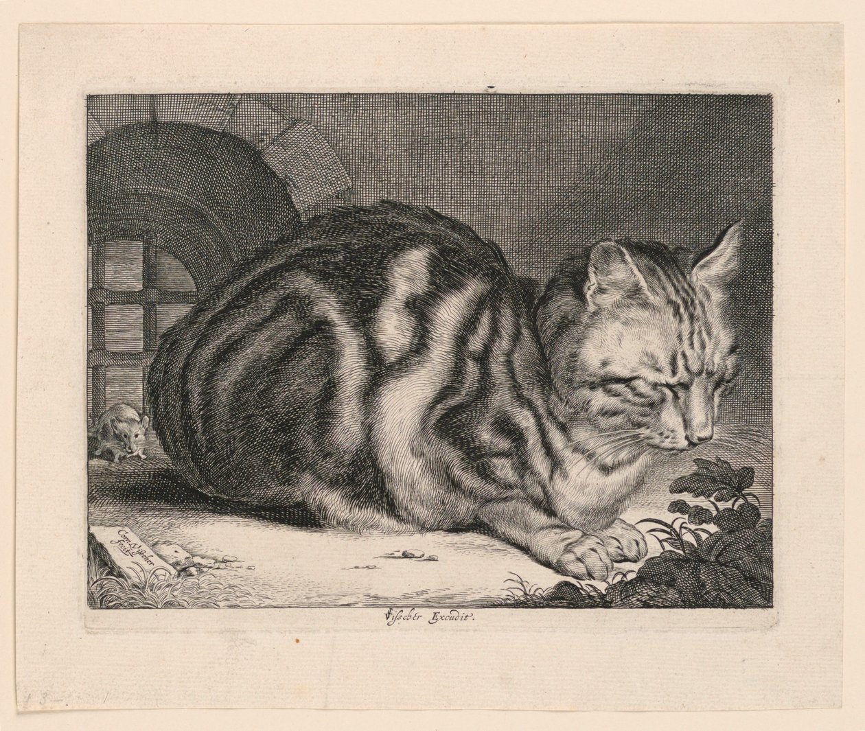 El gran gato de Cornelis Visscher