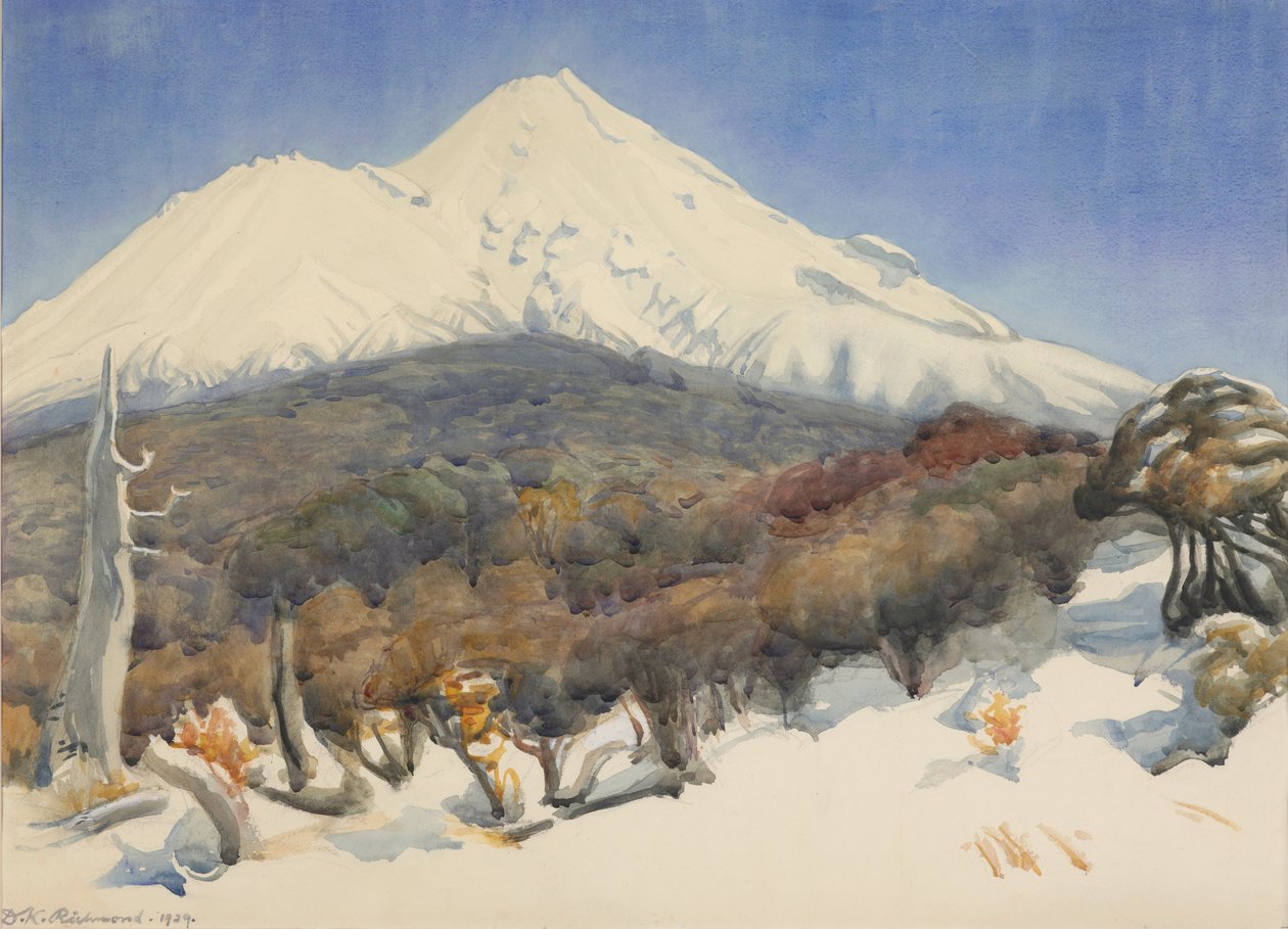 Monte Egmont de D. K. Richmond