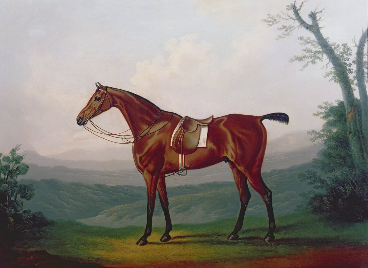 Retrato de un caballo de carreras de Daniel Clowes