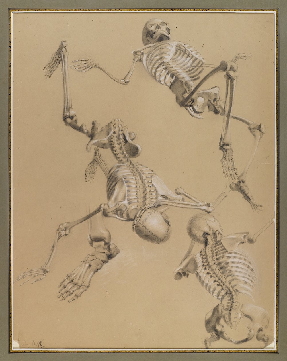 Estudio de esqueletos, 1848 de Daniel Huntington