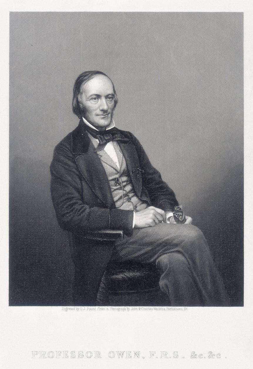 Sir Richard Owen, zoólogo inglés, c1860 de Daniel John Pound