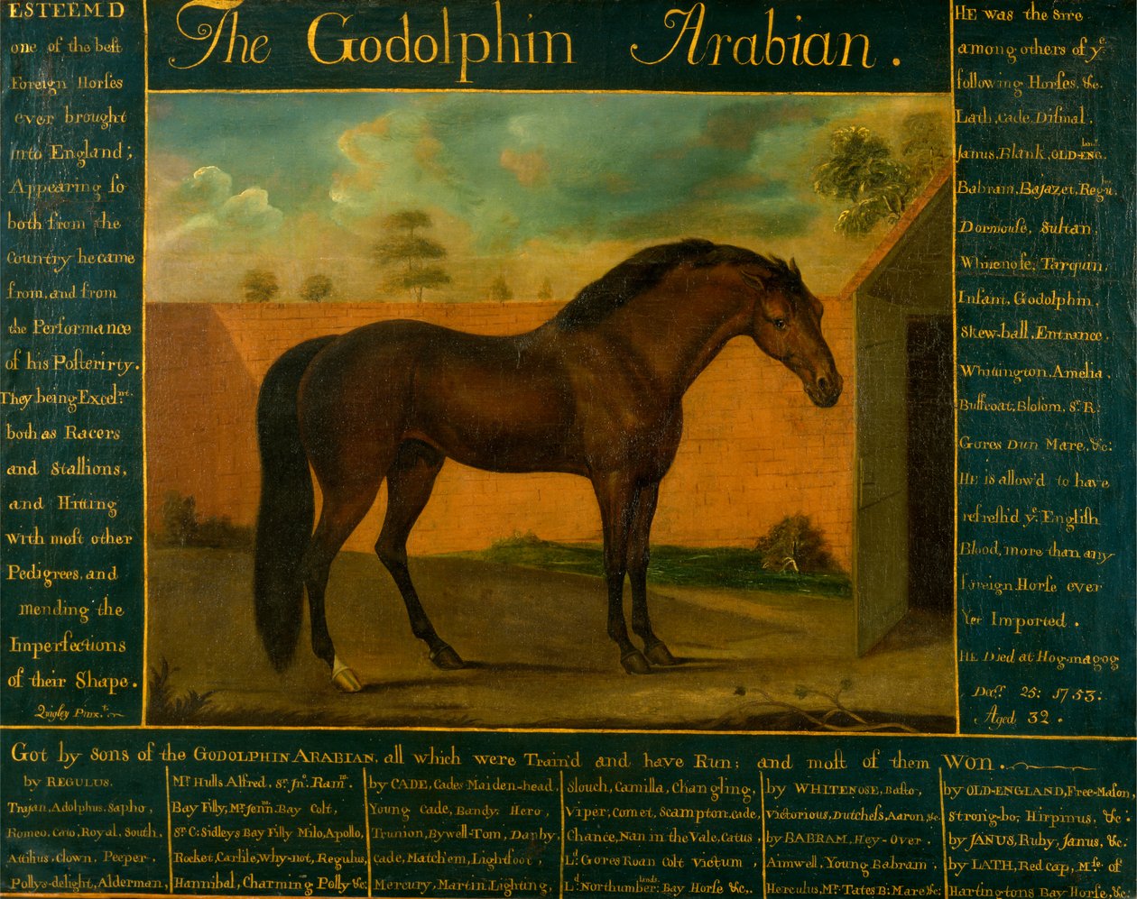 El Godolphin Árabe de Daniel Quigley