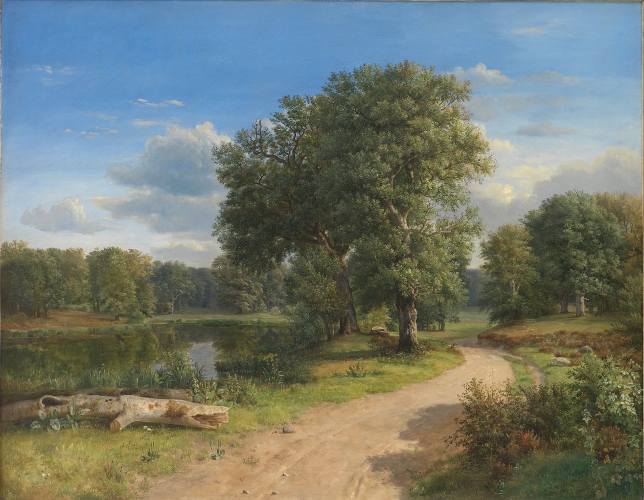 Paisaje cerca de Hammermøllen, Norte de Zelanda de Dankvart Dreyer