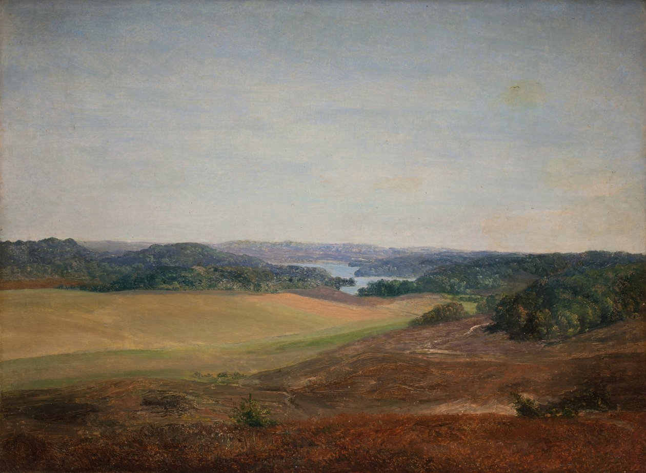 Paisaje cerca de Silkeborg, Jutlandia de Dankvart Dreyer