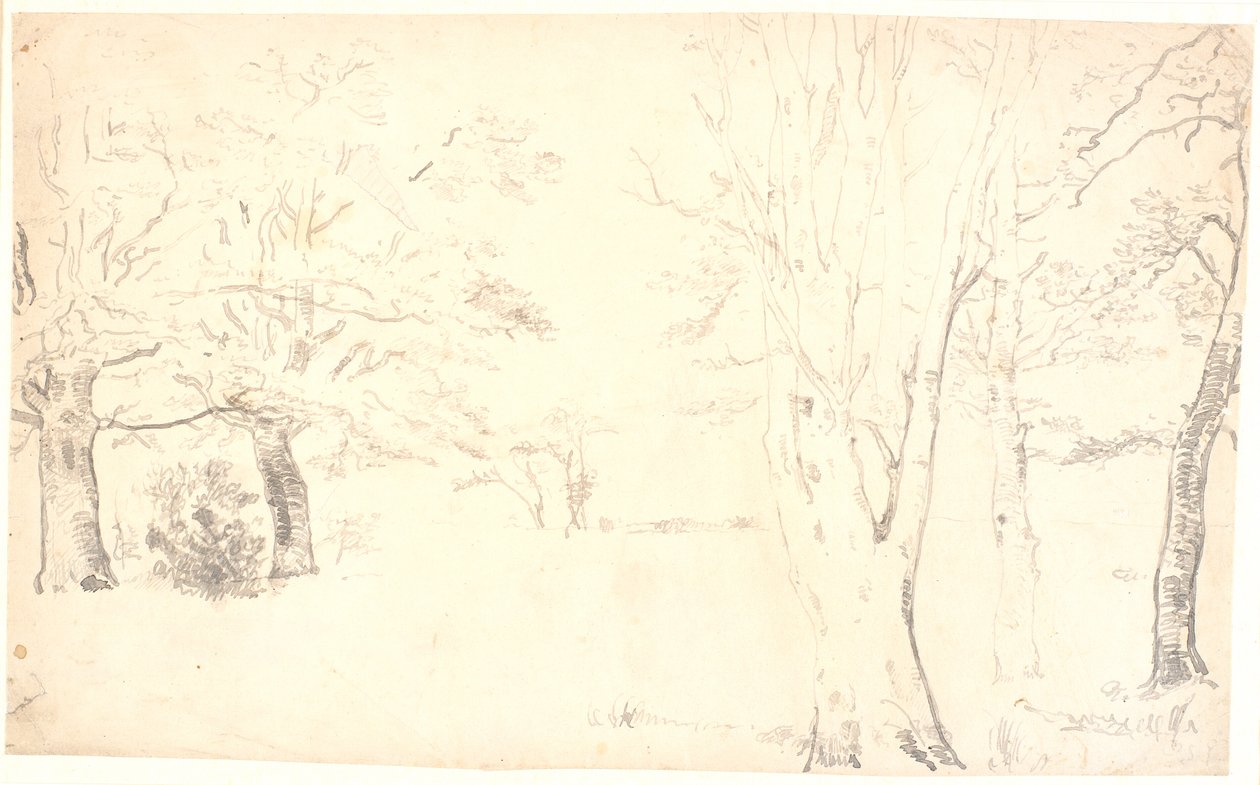 Paisaje con árboles dispersos de Dankvart Dreyer