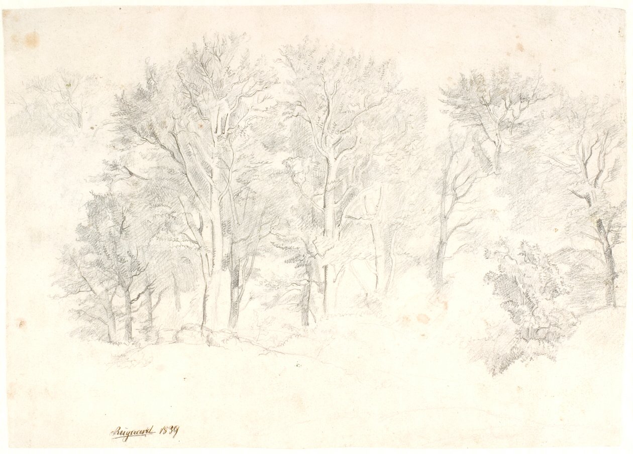 Estudio de Árboles de Dankvart Dreyer