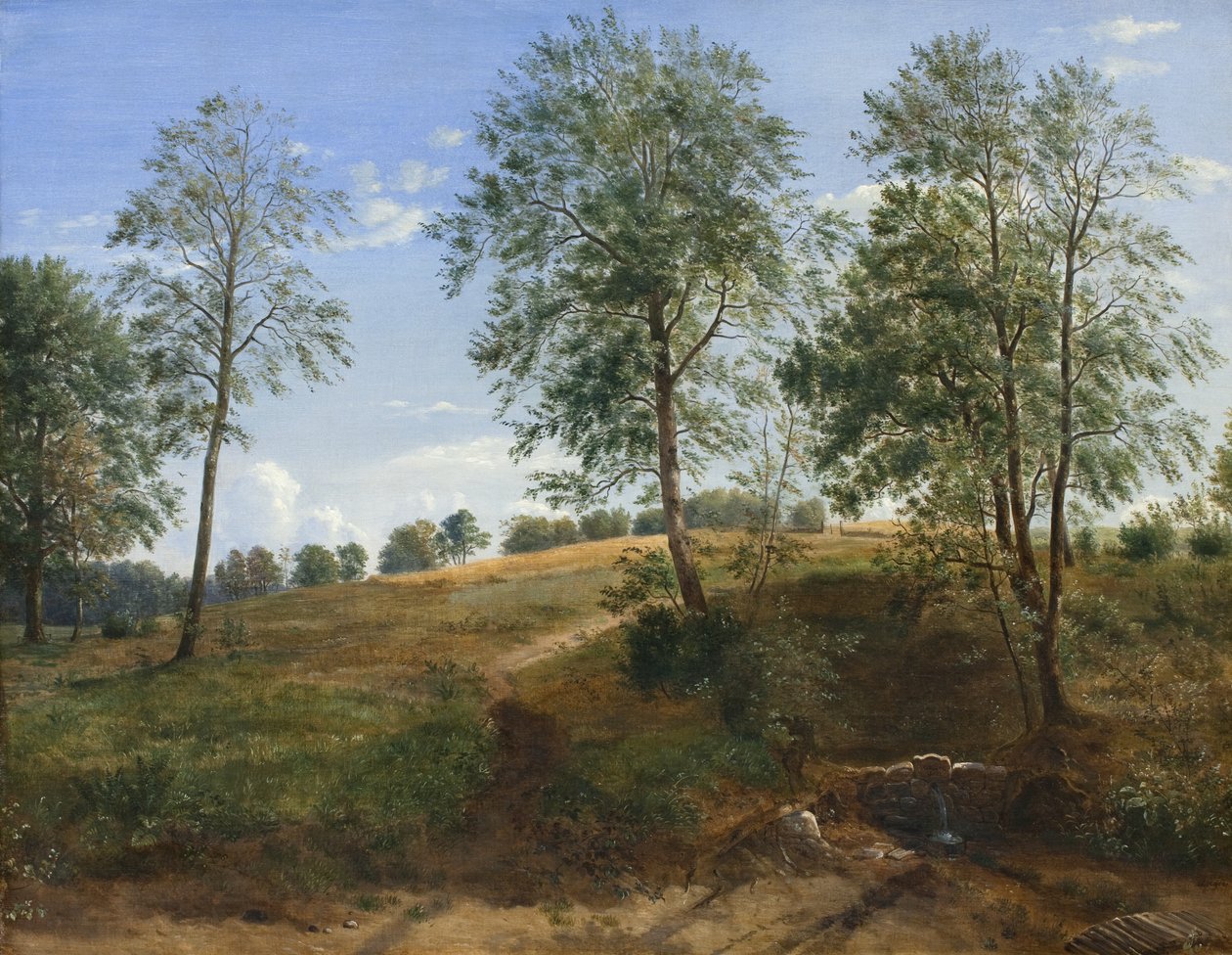 El manantial de Caroline en Næsby en Funen de Dankvart Dreyer