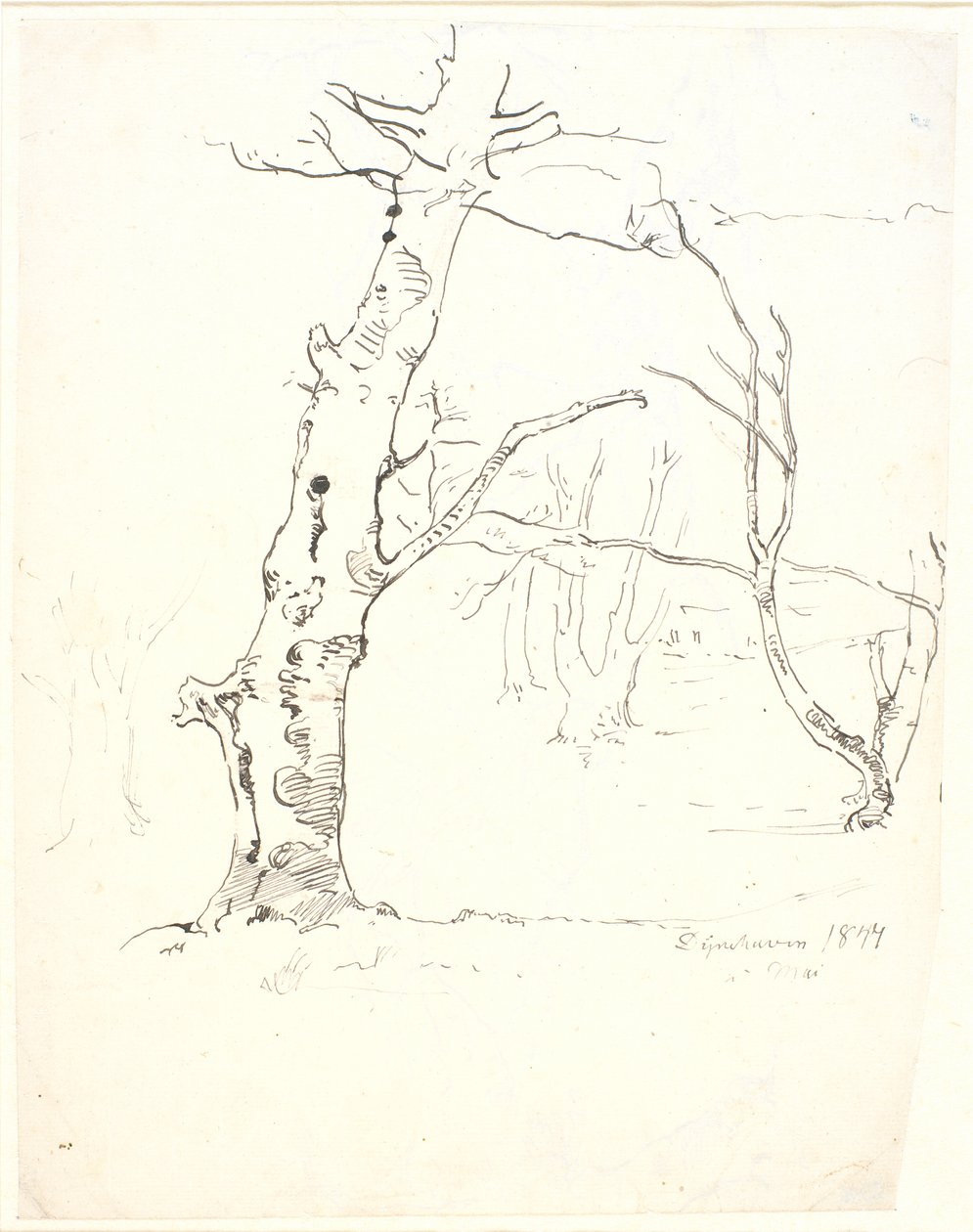 Troncos de árboles de Dankvart Dreyer