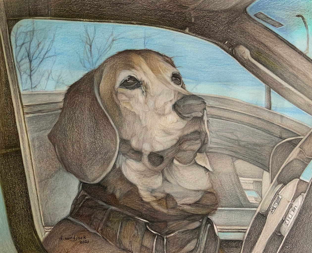 Patience, 2021 (lápiz sobre papel) de Darrell Windjack