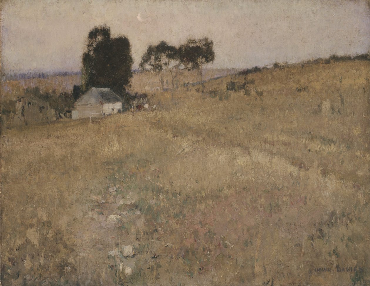 Una tarde de verano de David Davies
