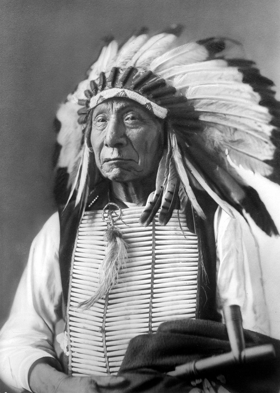 Red Cloud, jefe Dakota, con un tocado, 1880s de David Frances Barry